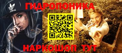 ГАЛЛЮЦИНОГЕННЫЕ ГРИБЫ Тулун