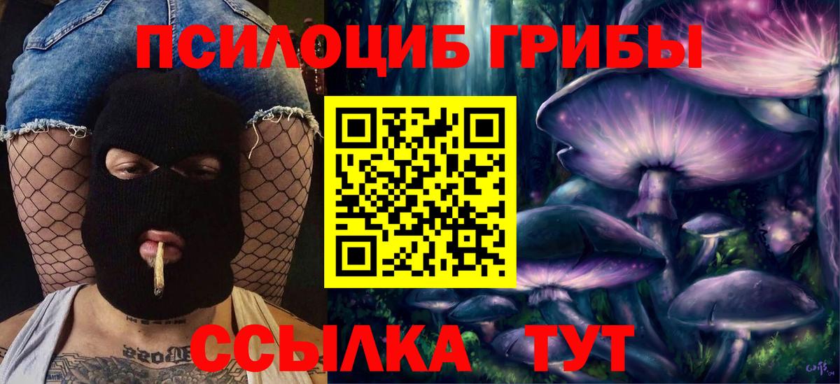 Алушта  Псилоцибиновые грибы Psilocybe  Псилоцибиновые грибы прущие грибы  Вход с VPN 